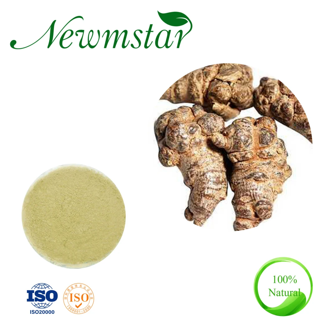 Pseudo-Ginseng Flower Extract /Panax Notoginseng (Burk.) Best Medicine for Cardiovascular Disease