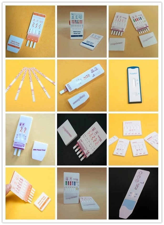 Rapid Test of Human Infectious Disease Dengue Ns1 Antigen &amp; Igm/Igg Antibody Test Kit Cassette